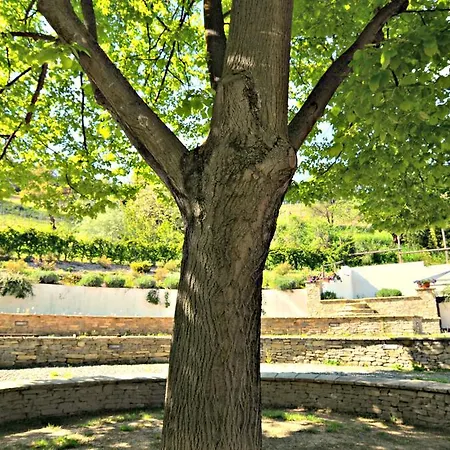Country house Cascina Il Convivio *